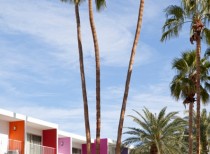 The saguaro palm springs / stamberg aferiat architecture