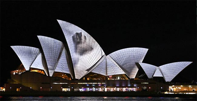 Sydney Opera House - Facade Projection