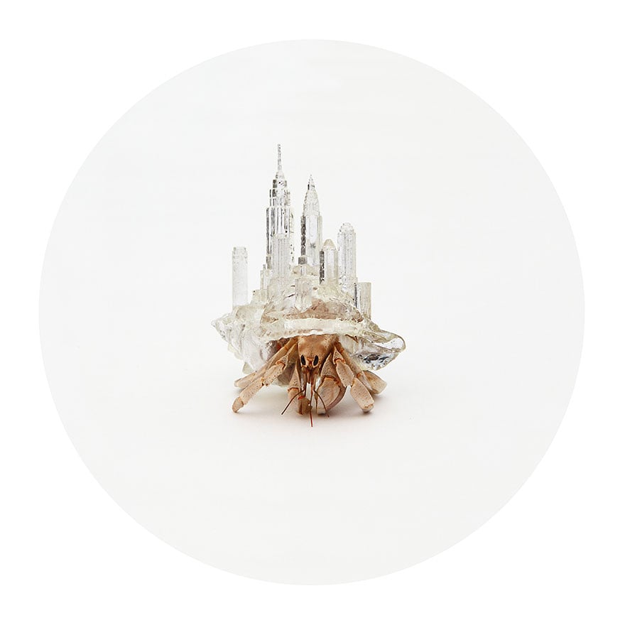 3d printed architectural hermit crab shells by aki inomata