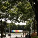 100 colors at shinjuku central park / emmanuelle moureaux