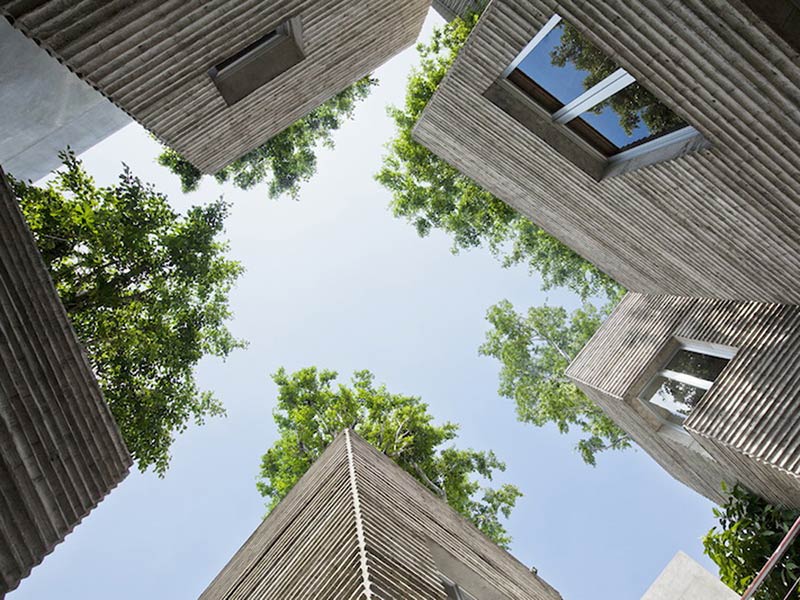 A Clever Idea for Creating Houses With Built-In Trees