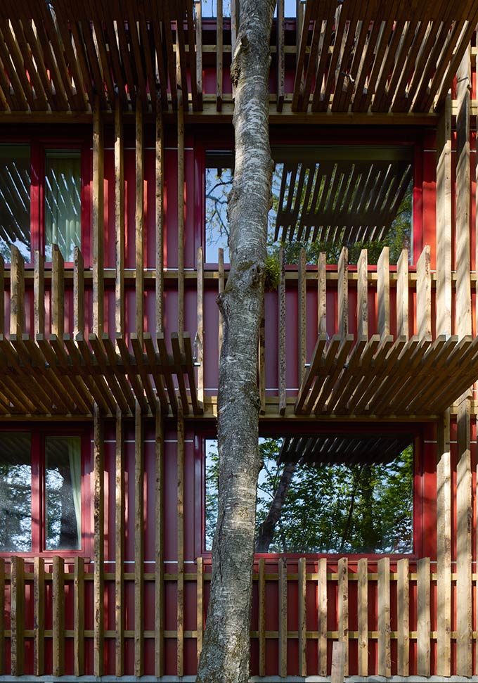 Hotel in-between the trees / kjellgren kaminsky architecture