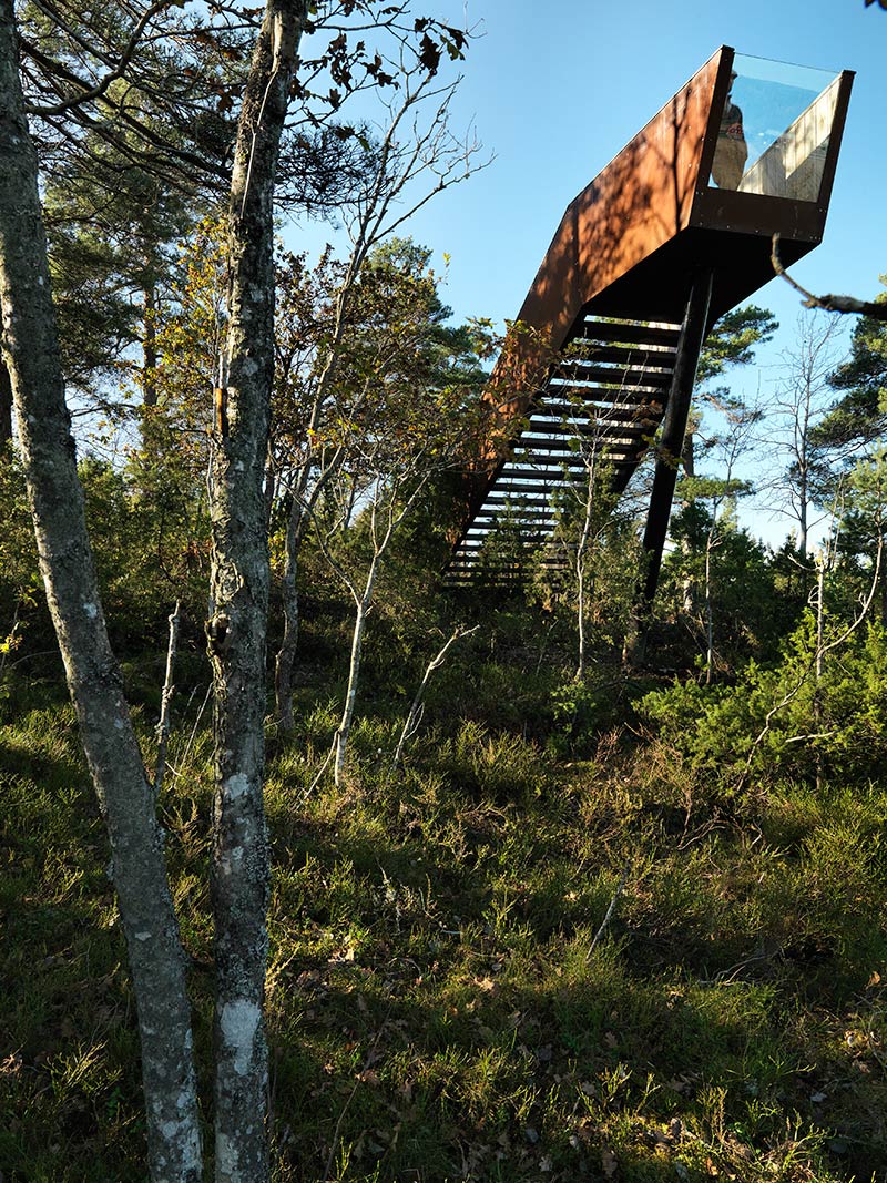 Forest stair / saunders architecture
