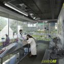 Pike powers living laboratory / mf architecture