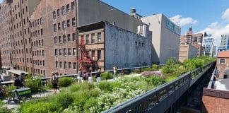 Urban oasis: The High Line in New York