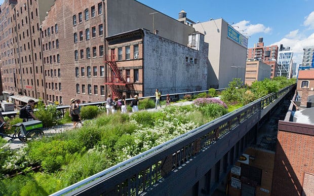 Urban oasis: the high line in new york