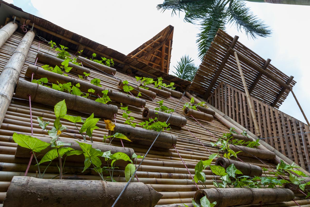 Blooming bamboo home, vietnam / h&p architects