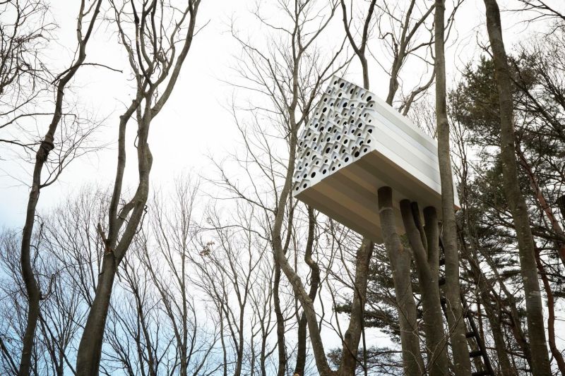 The 7 Best Tree Houses On Earth [Infographic] by the team at Heiton Buckley
