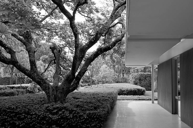 ‘The Landscape Architecture Legacy of Dan Kiley’ Review: Urban Oases