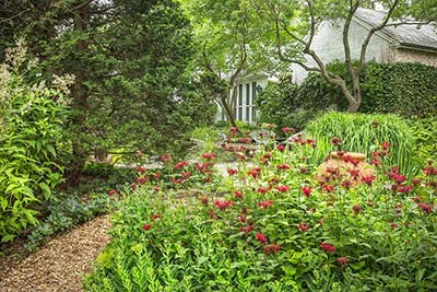 Wild gardens that grew out from Washington