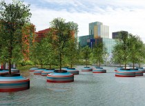 A floating forest for Rotterdam