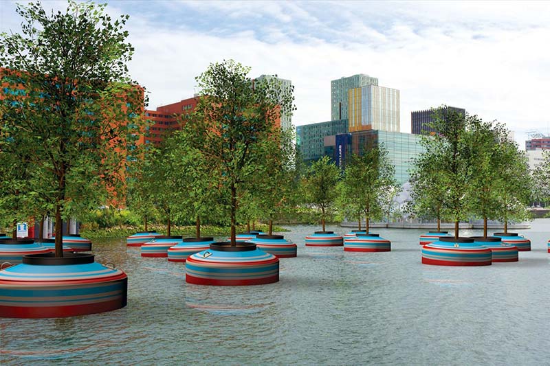 A floating forest for Rotterdam
