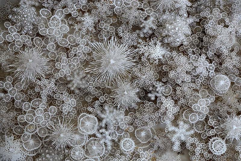 Cut paper sculptures capture the intricacy of natural architecture