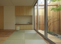 House in nishimikuni / arbol