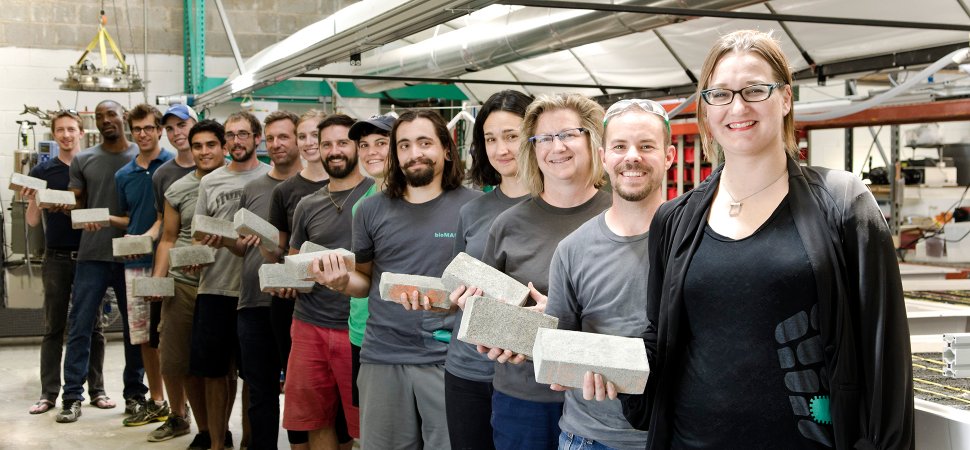 Biomason is using bacteria to grow bricks from scratch