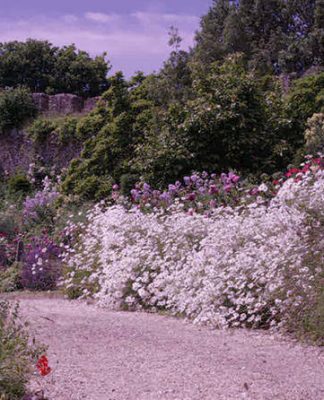 Great Gardens: Trematon Castle