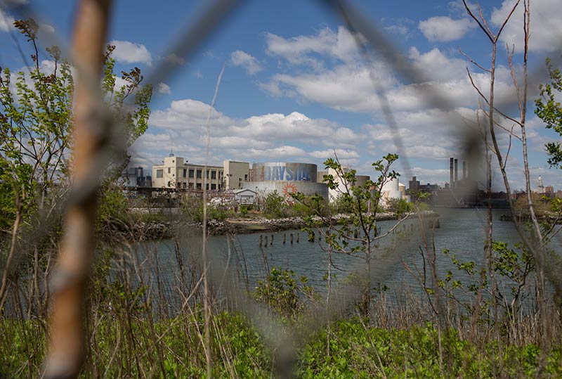 Disparate visions for a brooklyn park: dismantle industrial ruins, or preserve them