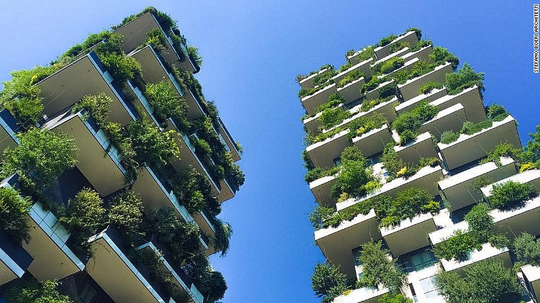 Gardens in the sky: The rise of green urban architecture