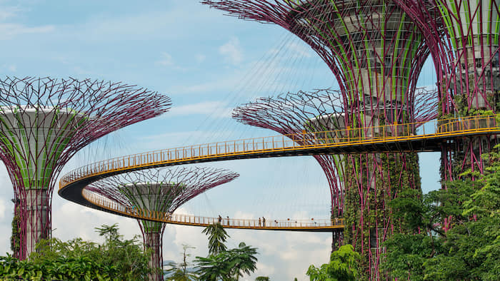 ‘Soft and hairy’ architecture: why designs should embrace nature