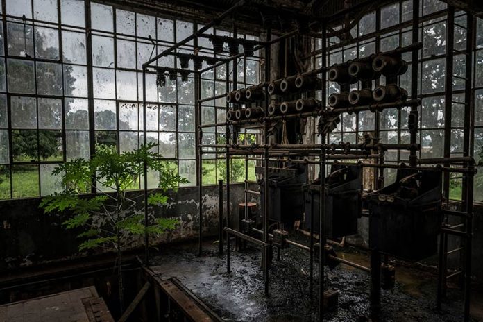 Deep in Brazil’s Amazon, Exploring the Ruins of Ford’s Fantasyland