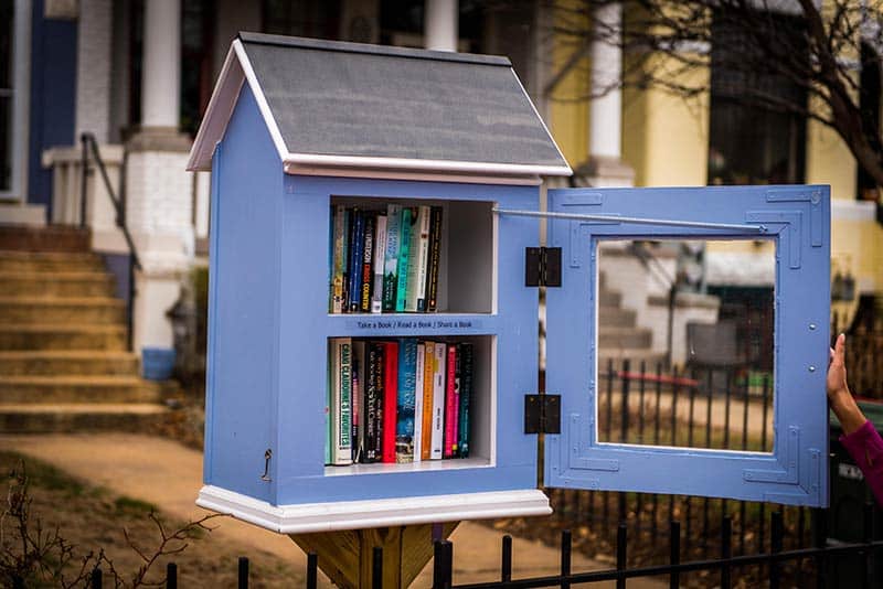 Architects gave the humble “little free library” a makeover
