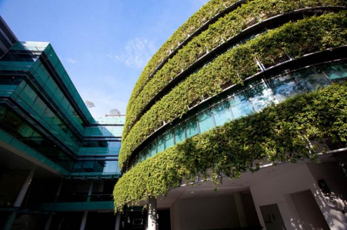 High Performing Green Buildings are Changing the Urban Landscape