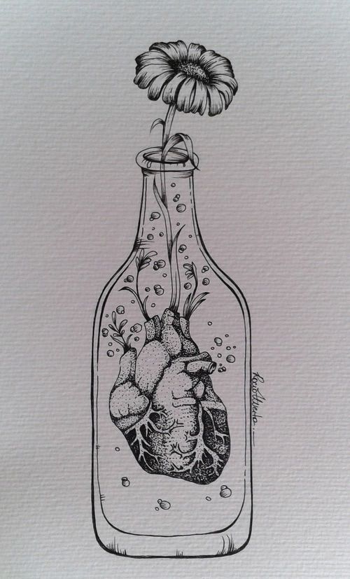 5. Life in a bottle by natalia camacho
