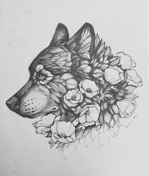 59.  sketch of a wolf kissed by the miracle of nature