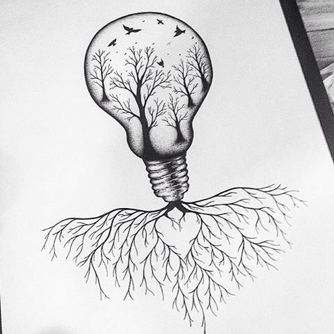 30. Switching on nature's lightbulb by tayla_ob