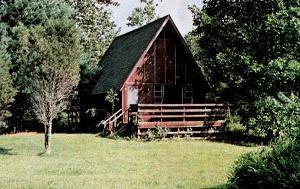 The homesteading cabin