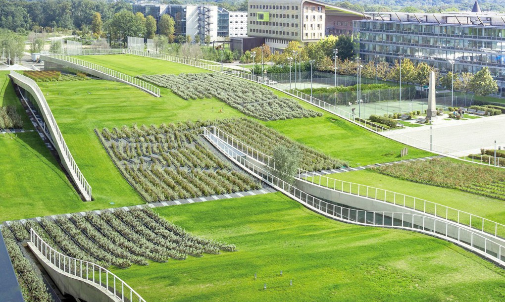 France green roof building