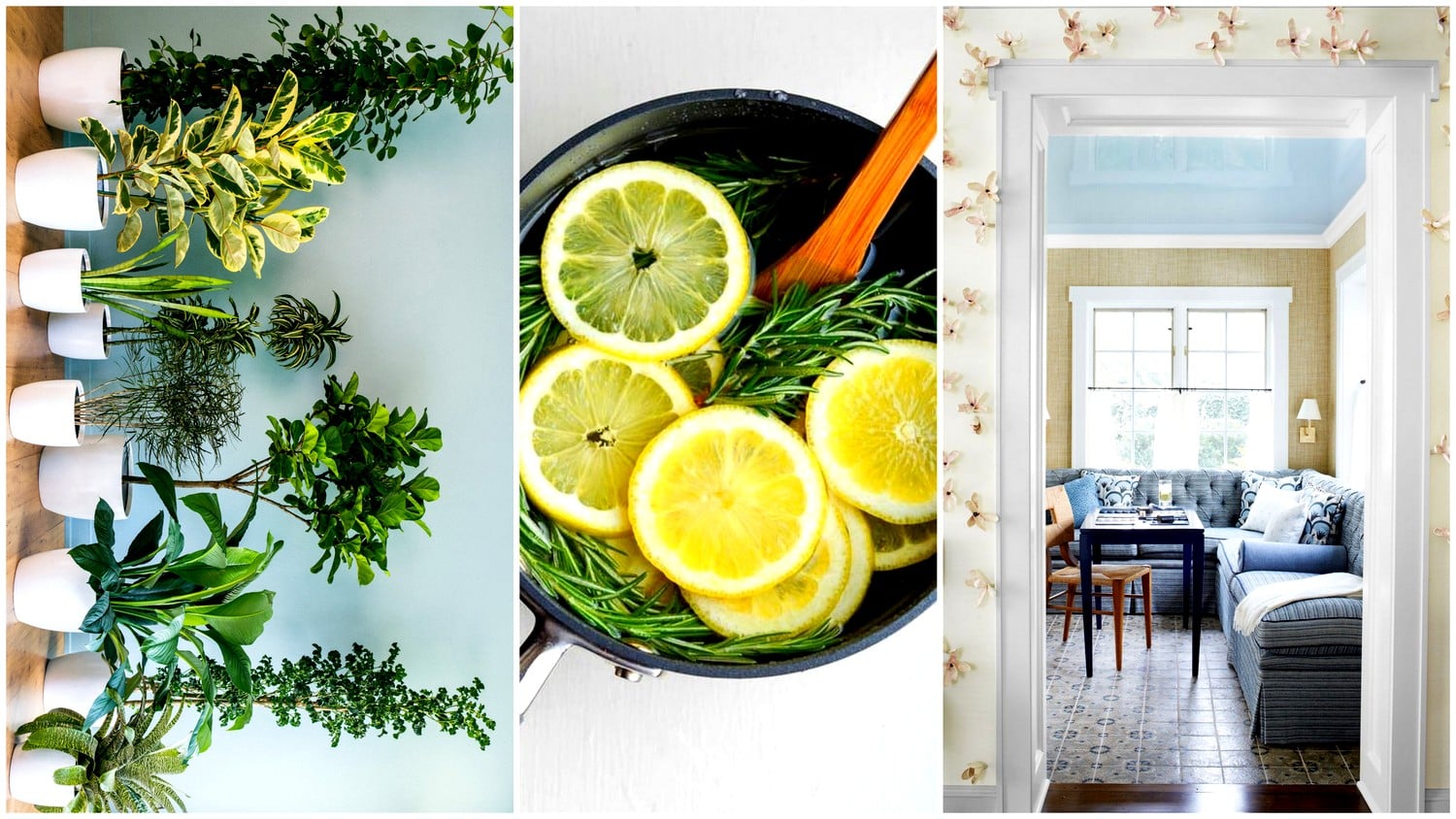 Simple and efficient ways to prepare your household for spring