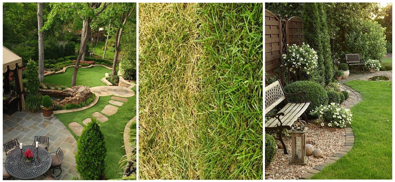 Guide to a perfect lawn and landscape
