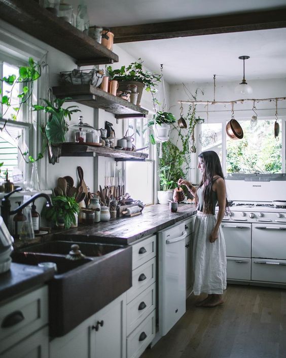 The rainforest kitchen