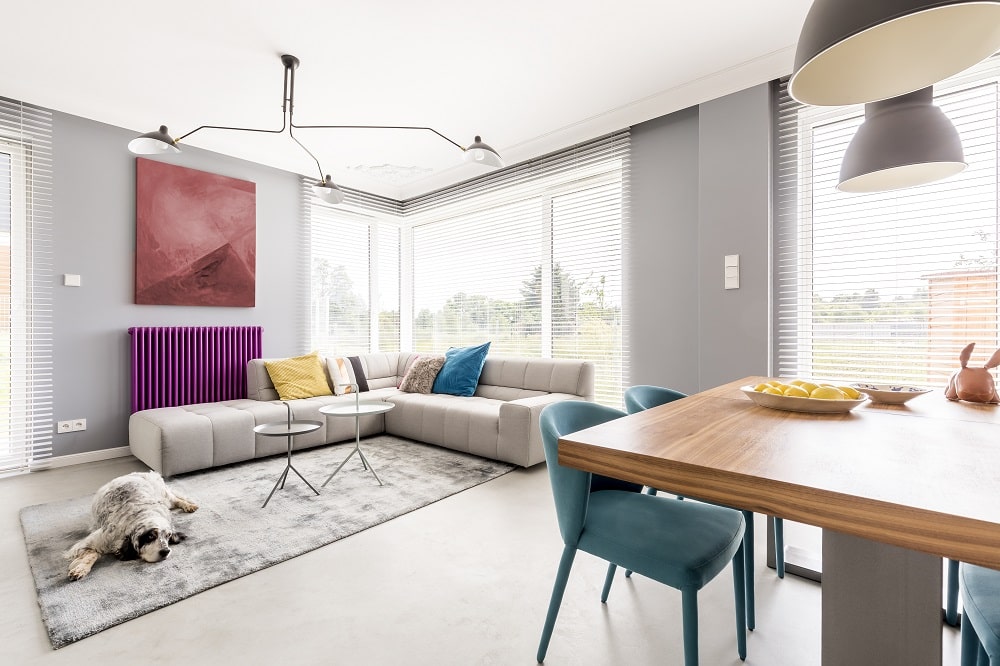 Contemporary living room for family with gray walls, beige corner sofa, big windows, painting, purple radiator and blue chairs in dining area