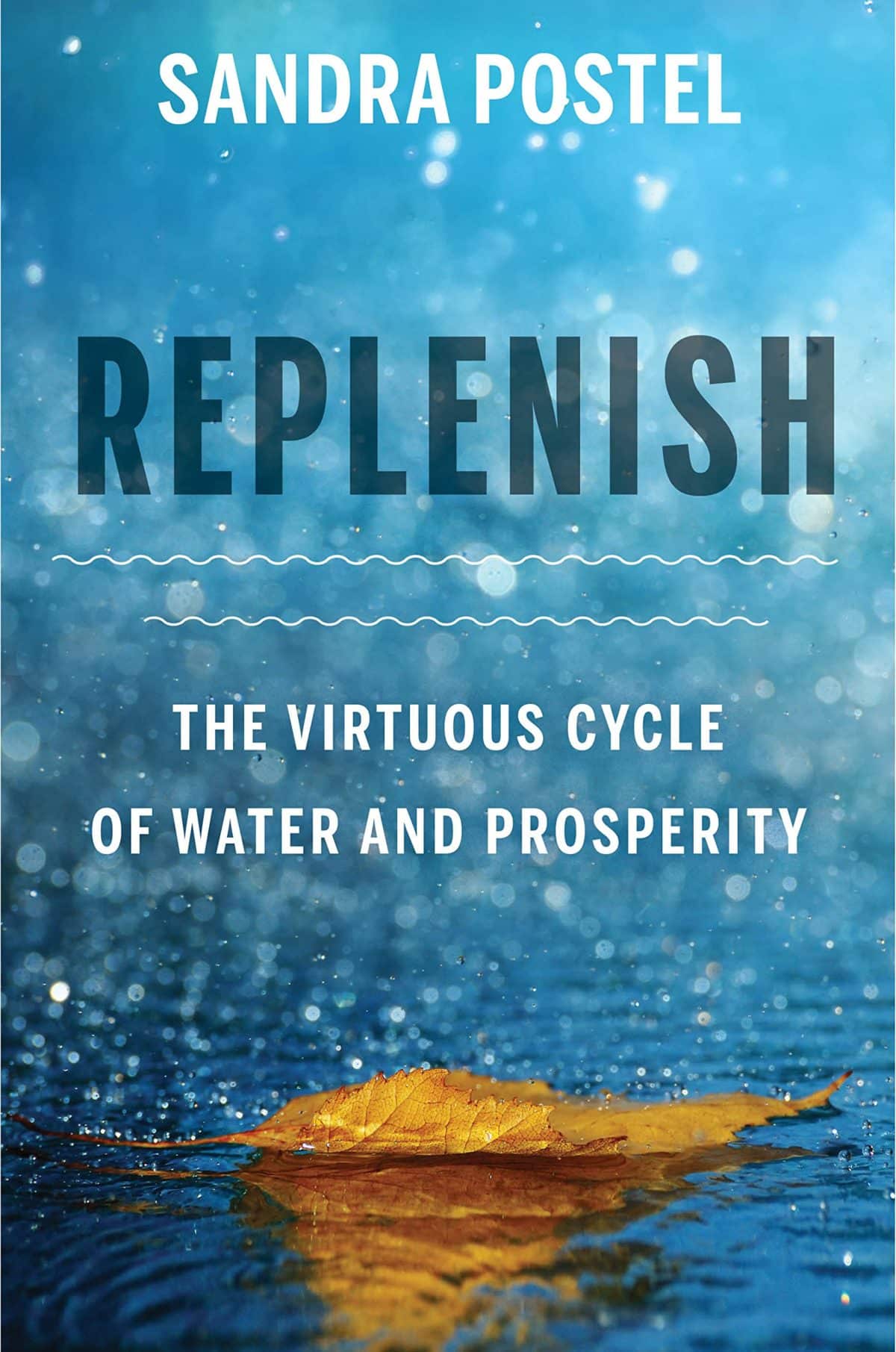 Replenish the virtuous cycle of water and prosperity