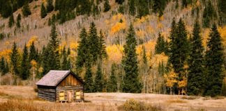 Different Types of Generators for Your Off-the-Grid Cabin
