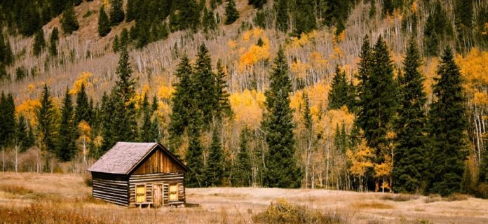 Different Types of Generators for Your Off-the-Grid Cabin