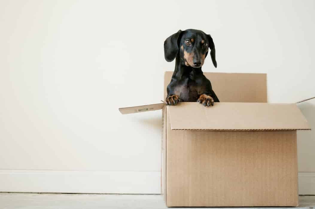 How to pack fragile items for moving 2