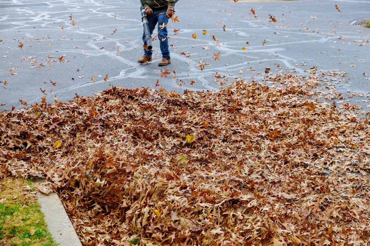Man working with best leaf blower: the leaves are up and down on a sunny day