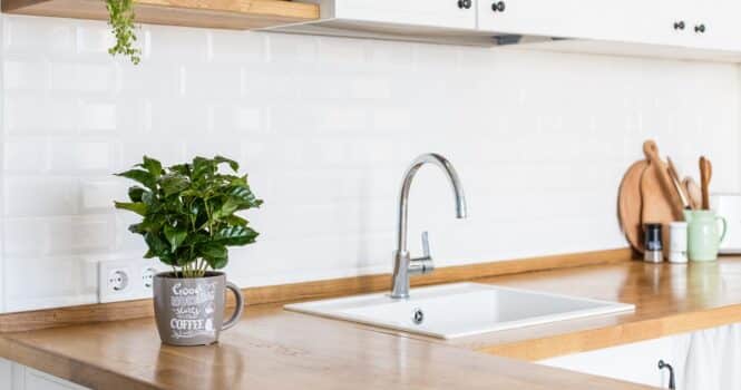 View on white kitchen in scandinavian style, kitchen details, coffee tree plant on wooden table, white ceramic brick wall background