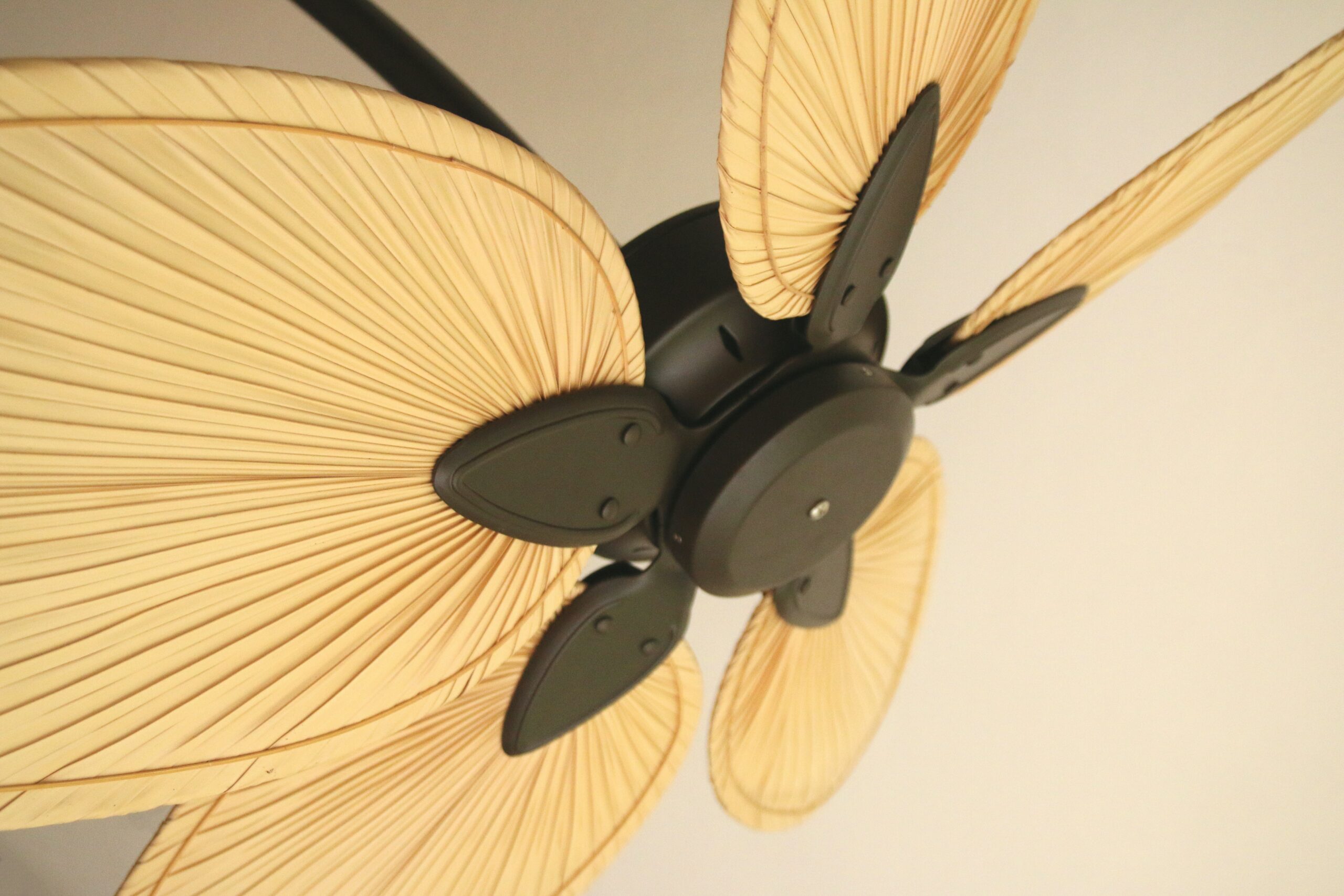 Are ceiling fans worth it 4 scaled