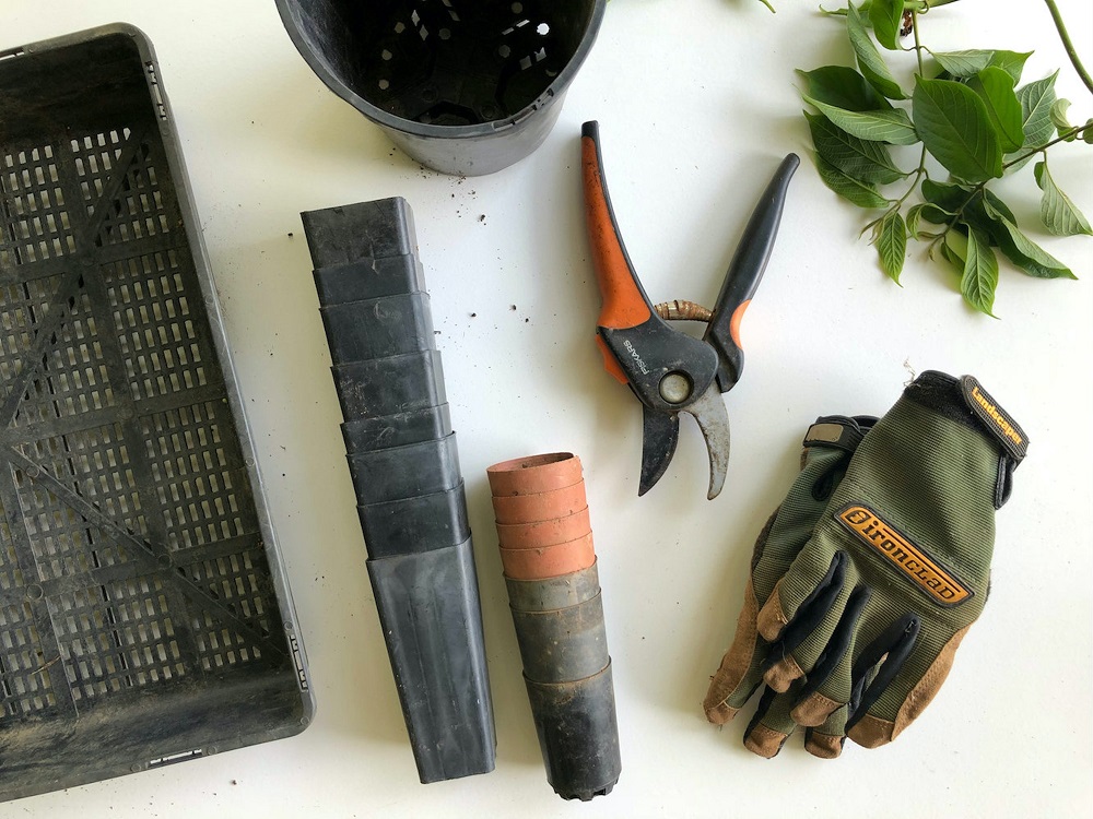 Gardening gloves are a great gift for gardeners
