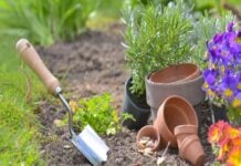Best Gifts For Gardener shovel planting in the soil next to teracotta pots and flowers with copy space in grass
