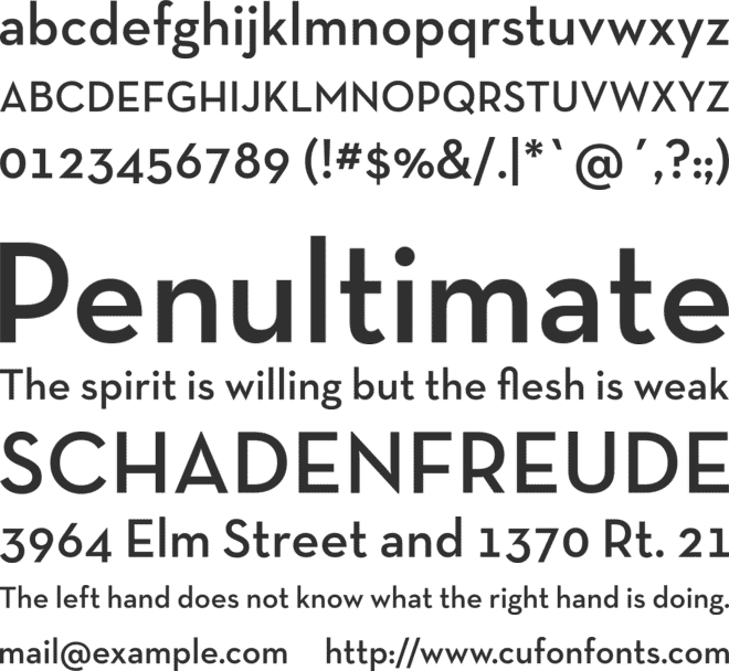 Neutra text tf light font large preview