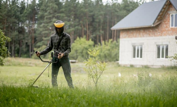 Man mowing the lawn in his garden. Gardener cutting the grass. Lifestyle