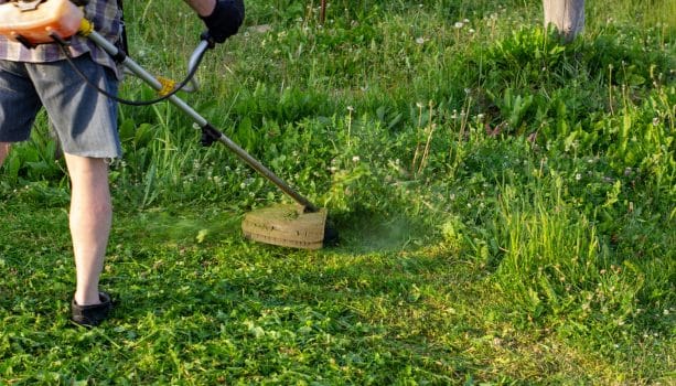 The worker of a garden cuts off a grass. The man in a uniform of the general worker works at a lawn. Work of municipal services on improvement of territories.