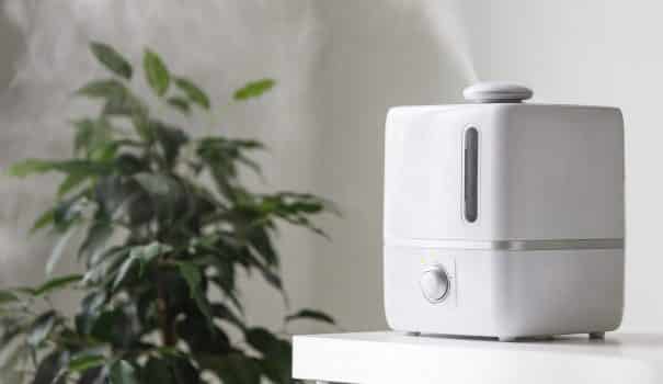 Best humidifier for plants 004