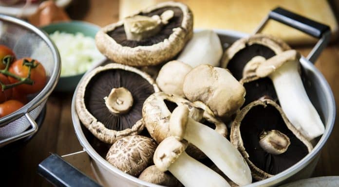 Closeup of fresh eryngii and portobello mushroom