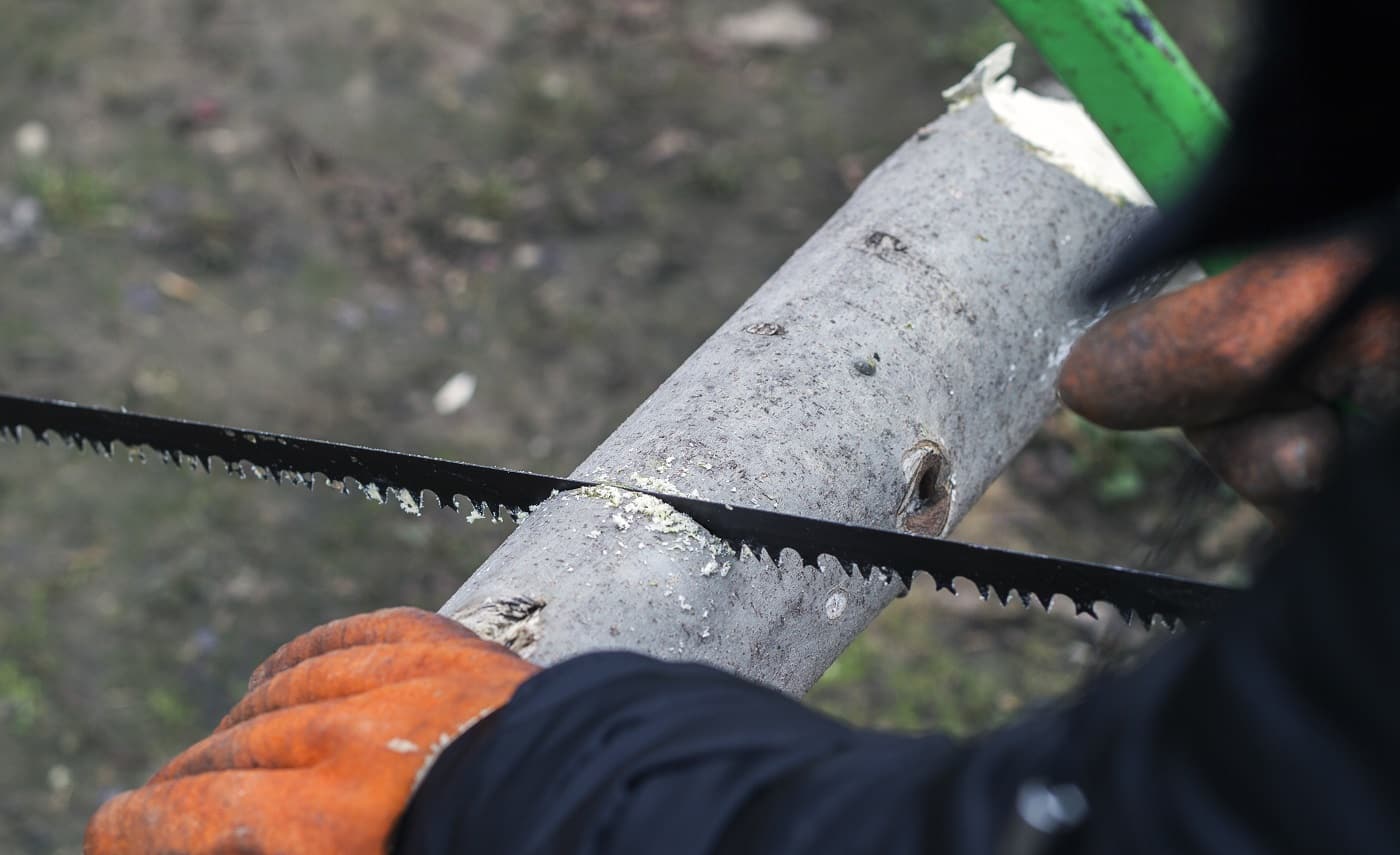 Man cuts wood with a manual saw